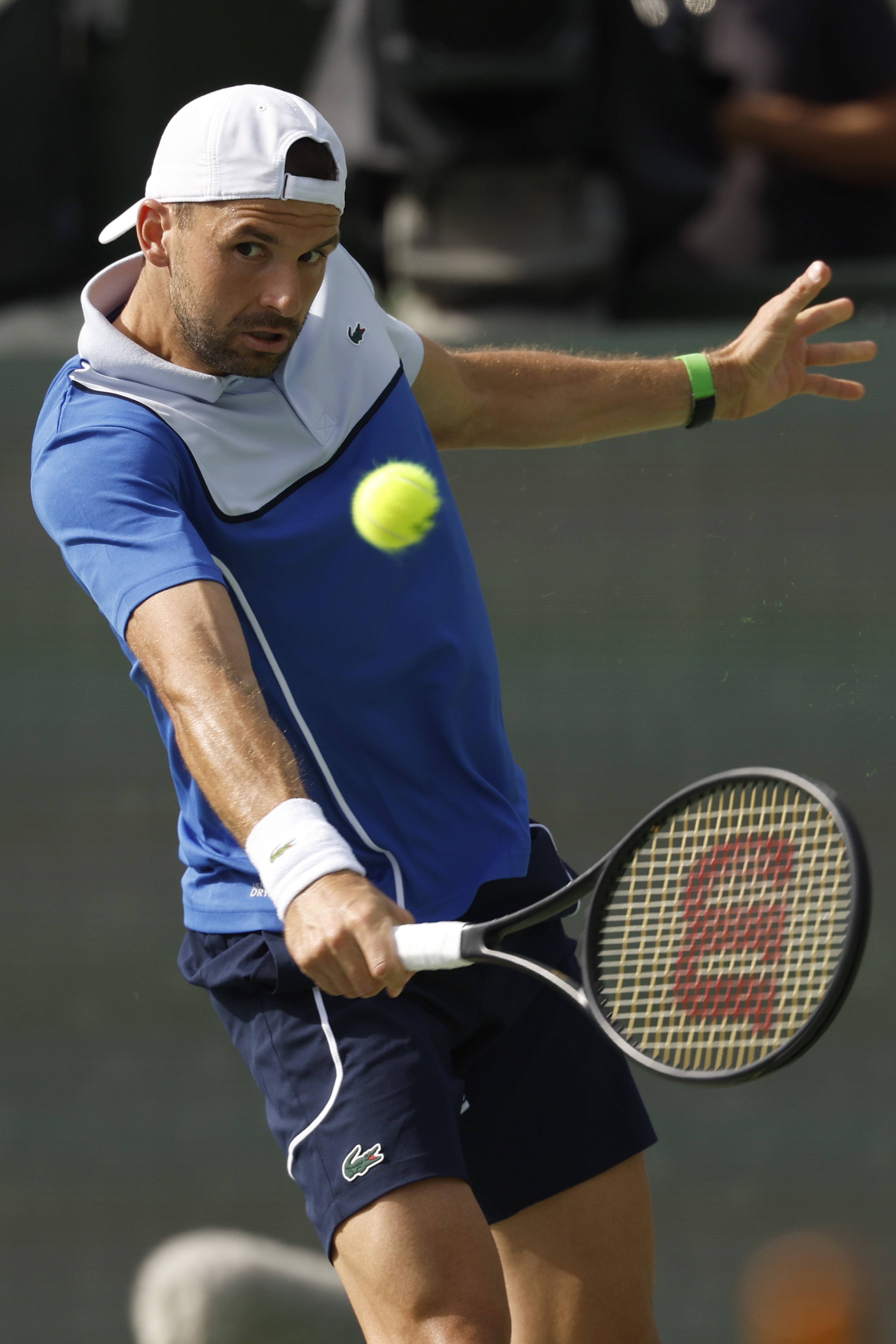 日本网球队横扫世界网球队，梅德韦杰夫惊艳世界的简单介绍